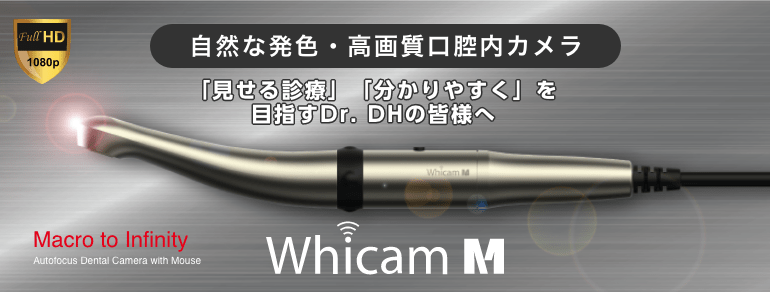 Whicam M